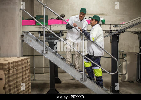 Workers having a conversation, using tablet Stock Photo