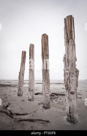 The rotting wood posts of an old pier on the Great Salt Lake stand in grey mud under grey skies. Stock Photo