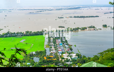 Green rice fields in rural Vietnam in the flood season rise from beautiful view. Stock Photo