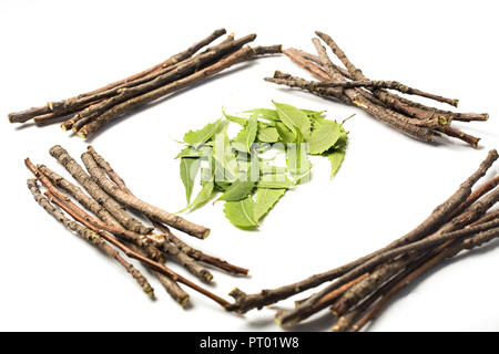 Diamond shape of neem wood with neem leaves in center. Isolated on white background. Stock Photo