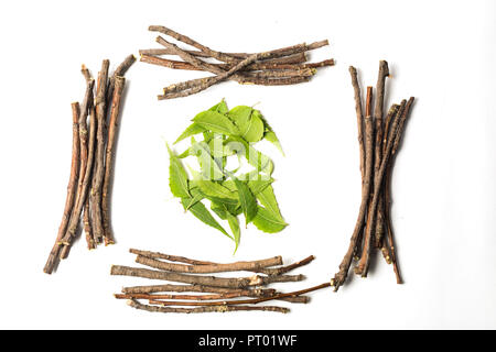 Rectangle shape of neem wood with neem leaves in center. Isolated on white background. Stock Photo