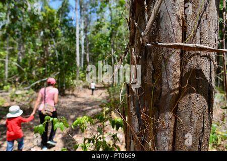 Mother and daughters walk along the Dalrymple gap walking track, QLD, Australia Stock Photo