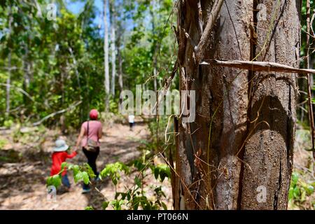 Mother and daughters walk along the Dalrymple gap walking track, QLD, Australia Stock Photo