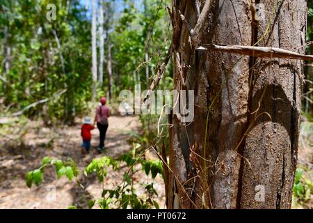 Mother and daughters walk along the Dalrymple gap walking track, QLD, Australia Stock Photo