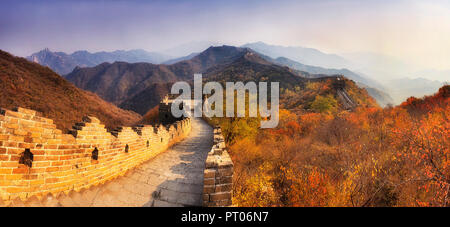 Narrow panorama of Chinese ancient The Great Wall segment high in Mutianyu mountains atop hill ranges surrounded by golden-red autumn trees. Stock Photo