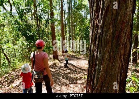 Mother and daughters walk along the Dalrymple gap walking track, QLD, Australia Stock Photo