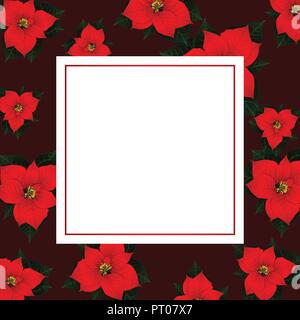 Red Poinsettia on Red Banner Card Background. Vector Illustration. Stock Vector
