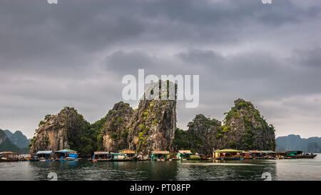 The Floating Fishing Villages are among the most special attractions of the UNESCO world heritage site at Halong Bay in northern Vietnam. Stock Photo