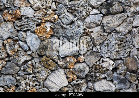 Wall made from coral pieces Stock Photo
