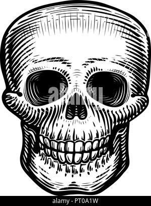 Human skull, sketch. Hand-drawn skeleton, zombie or dead. Vintage vector illustration Stock Vector