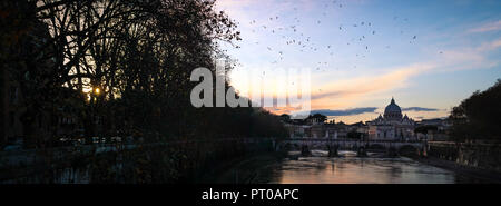 Evening scene in Rome with St Peter's Basilica and the river Tiber. Sun is setting bird flying Stock Photo