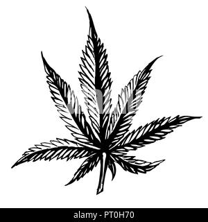 Marijuana leaf. Hand drawn isolated illustrations on watercolor background. Stock Vector