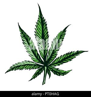 Marijuana leaf. Medical cannabis plant. Isolated on white. Graphic design element for printables, web, prints, t-shirt. Vector illustration. Stock Vector