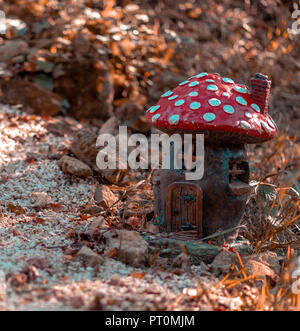 A little red mushroom house in a forest on an autumn day Stock Photo