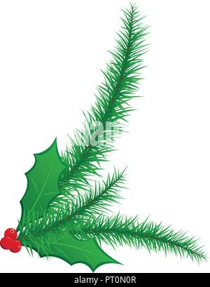 Green Christmas spruce pine needles with holly leaves and red berries illustration Stock Vector