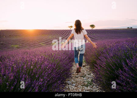 France, Valensole, back view of woman walking between blossoms of lavender field at sunset
