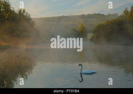 Misty morning over the lake in nature reserve in Devon Stock Photo