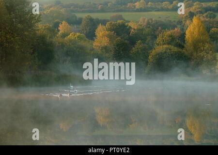 Misty morning over the lake in nature reserve in Devon Stock Photo