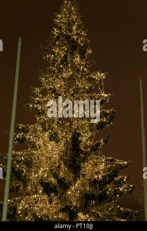 Big Christmas tree in Rovaniemi during Christmas celebrations, small city located in Arctic Circle, Finnish Lapland. Stock Photo