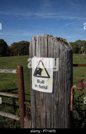 Beware of the Bull Sign. Bull in field sign on a gatepost Stock Photo