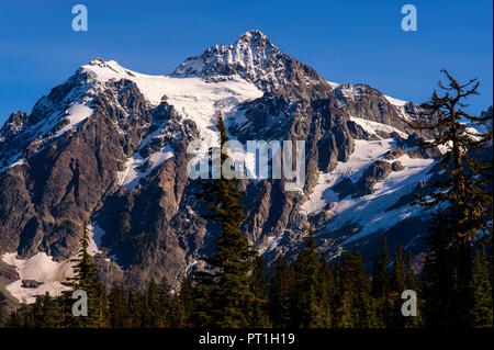 Mount Shuksan close-up framed with Evergree Trees. Stock Photo