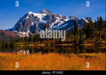 Picture Lake with Autumn colors and Mount Shuksan in background reflected in mountain lake Washington State USA