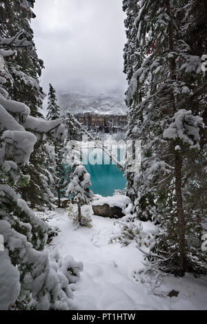 Moraine lake, Banff NP, Canada Stock Photo