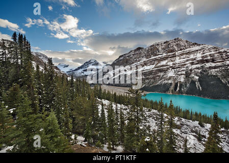 Peyto lake, Banff NP, Canada Stock Photo