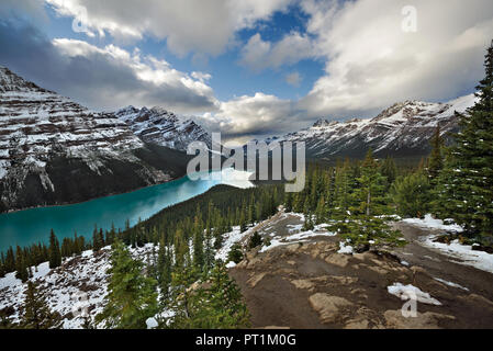 Peyto lake, Banff NP, Canada Stock Photo