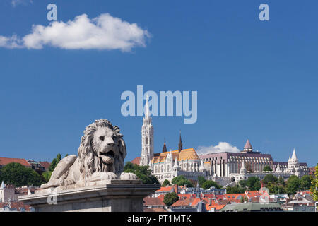 Lion figure on the Chain Bridge, view to Matthias Church, Fisherman's Bastion and Hilton Hotel on the Castle Hill of Buda, Budapest, Hungary Stock Photo