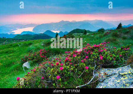 Mount Guglielmo at sunset, Lombardy district, Brescia province, Italy, Stock Photo