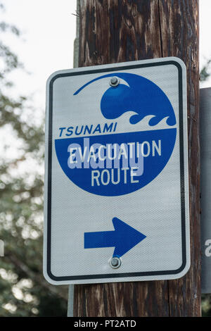 Tsunami pacific coast