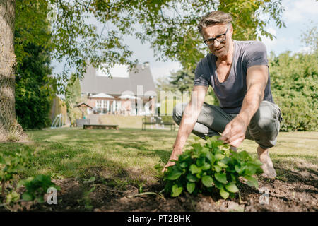 Mature man gardening in garden of his home Stock Photo