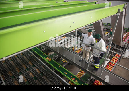 Workers talking in apple factory Stock Photo