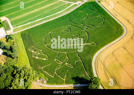 Maize maze, farmer Benedikt Lünemann from Cappenberg has taken global warming as a theme this year, the globe groans under the exhaust fumes from car traffic and the coal-fired power plants, Selm, Ruhr area, North Rhine-Westphalia, Germany Stock Photo