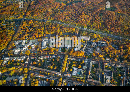 University of Duisburg-Essen, UDE, 'Keksdosen', merger of the Gerhard-Mercator University of Duisburg and the University-Gesamthochschule Essen, in autumn, autumn leaves, Duisburg, Ruhr area, North Rhine-Westphalia, Germany Stock Photo