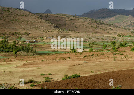 ETHIOPIA, Amhara, irrigated fields with onions during dry season in village in highland near Gondar / AETHIOPIEN, Amhara, Gonder, bewaesserte Felder mit Zwiebeln eines Dorfes im Hochland waehrend der Trockenzeit Stock Photo