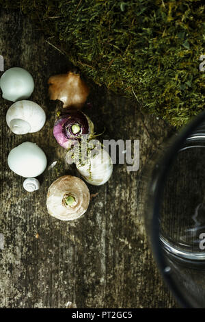 Tulips and hyacinths - bulbs lying on a board ready for planting Stock Photo