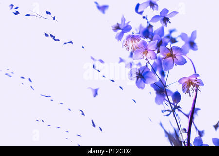 Small flowers coming out big - ultraviolet, pastel, soft and romantic. Stock Photo