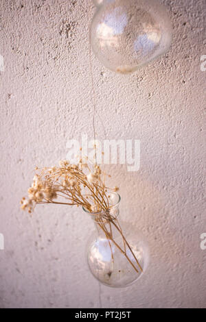 Dried flowers in a hanging glass vase Stock Photo