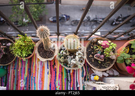Cactuses on a balcony in Barcelona Stock Photo