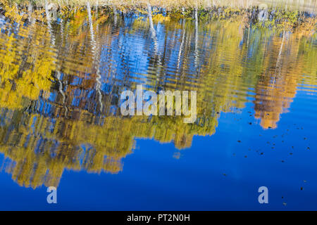 Orsiera Rocciavre Park, Susa Valley, Turin district, Piedmont, Italy, Autumn at the Paradise lake of the frogs Stock Photo