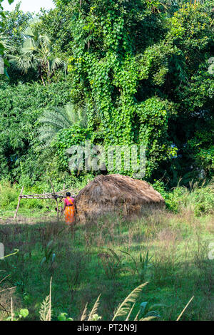 Indian tribal village at Bolpur, West Bengal India with view of mud hut ...