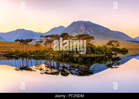 Connemara, County Galway, Connacht province, Ireland, Europe, Lough Inagh lake with Twelve Bens mountain and Pines Island, Stock Photo