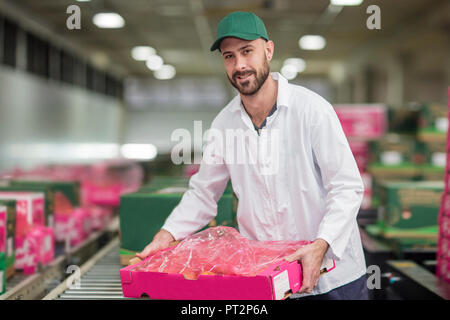 Worker packing apple boxes Stock Photo