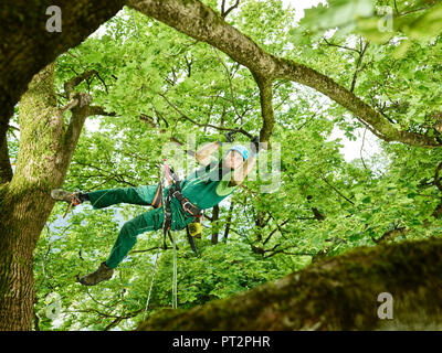 Tree cutter pruning of tree Stock Photo