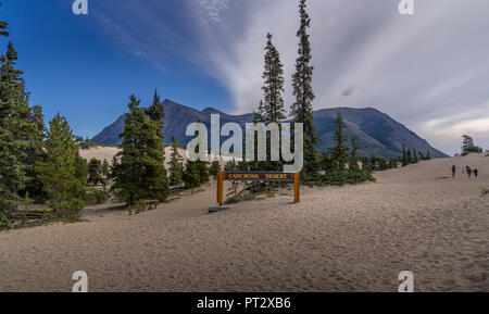 Carcross Desert in Carcross, Yukon Canada Stock Photo