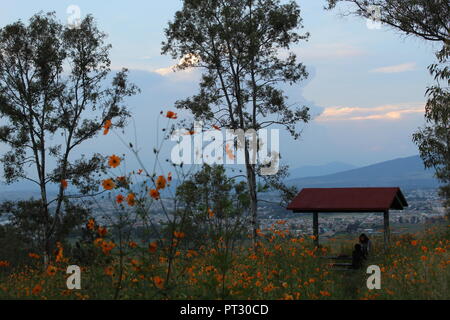 foto tomada en el cerro de la reina en Tonala Jalisco Mexico en donde se aprecian flores naranjas en primer plano en segundo plano se ve una banca Stock Photo