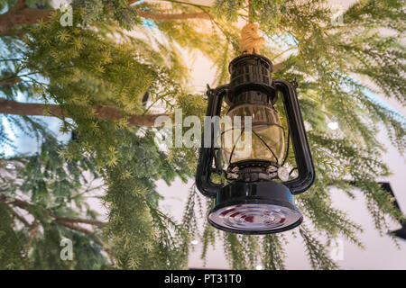 Classic black gas lantern hang on green tree Stock Photo