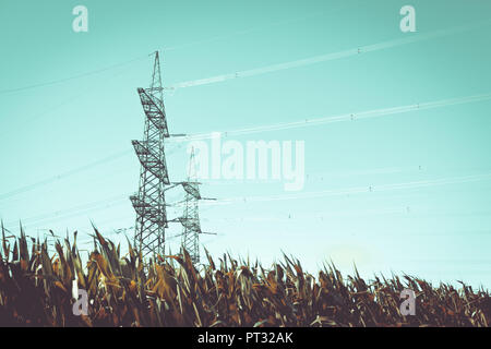 High-voltage transmission towers in corn field Stock Photo